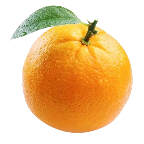 ODM